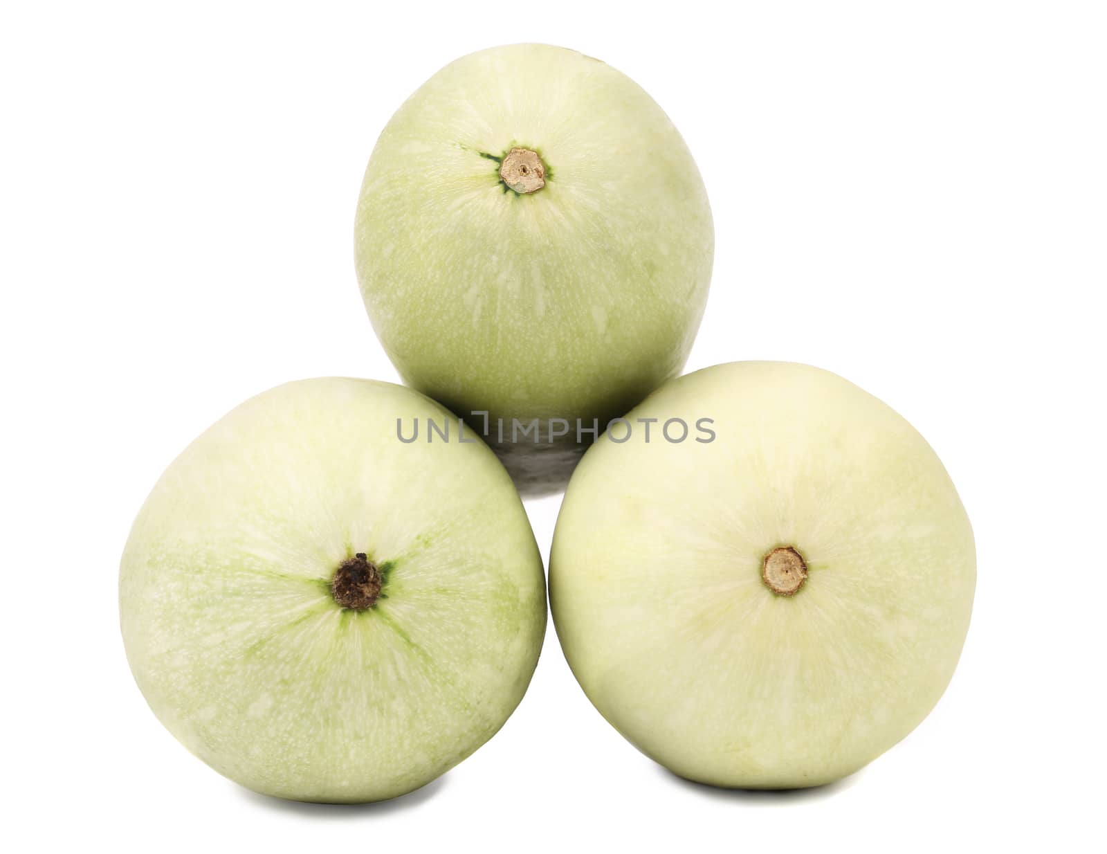Tails of fresh vegetable marrow. Isolated on a white background.