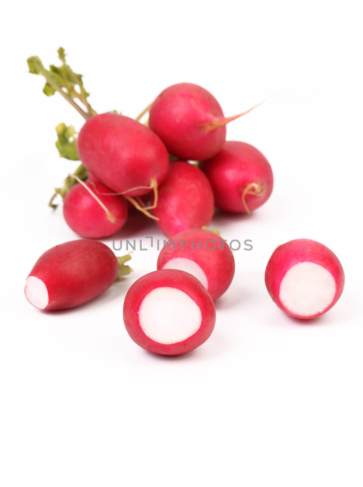 Small garden red radish isolated on white background
