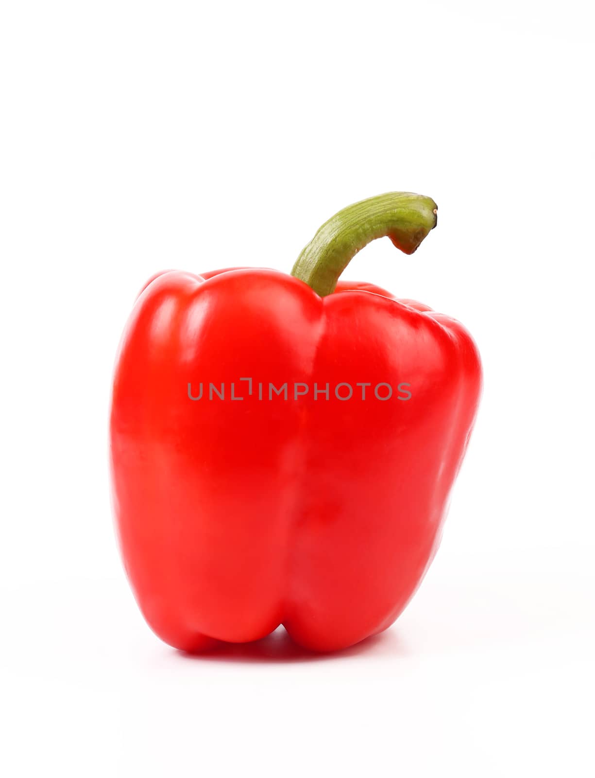 Red pepper with tail on a white background.
