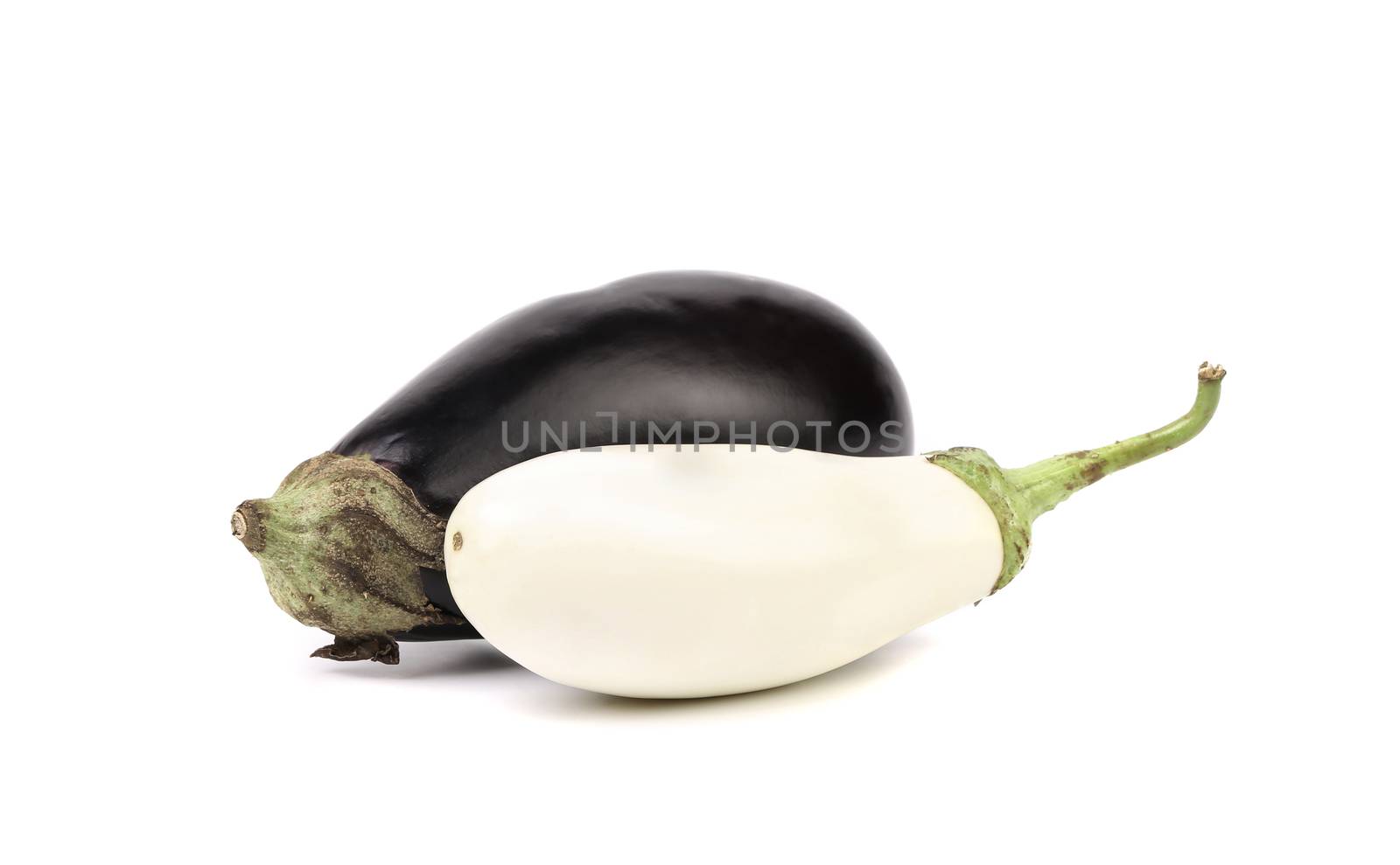 Black and whte eggplant or aubergine vegetable on white background