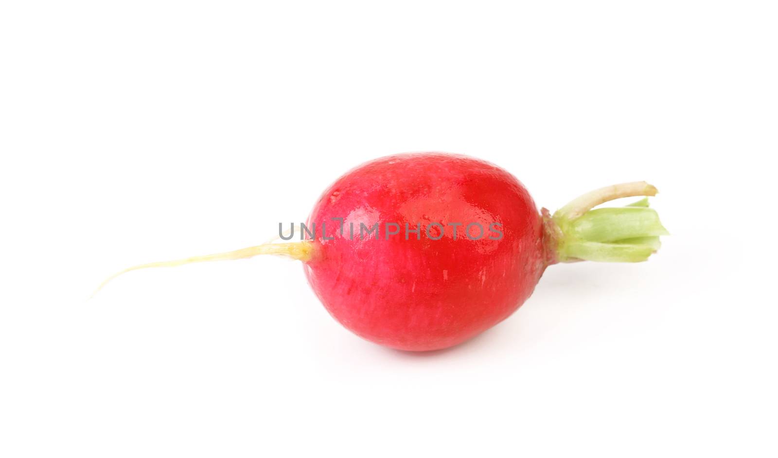 Red radish. Isolated on a white background