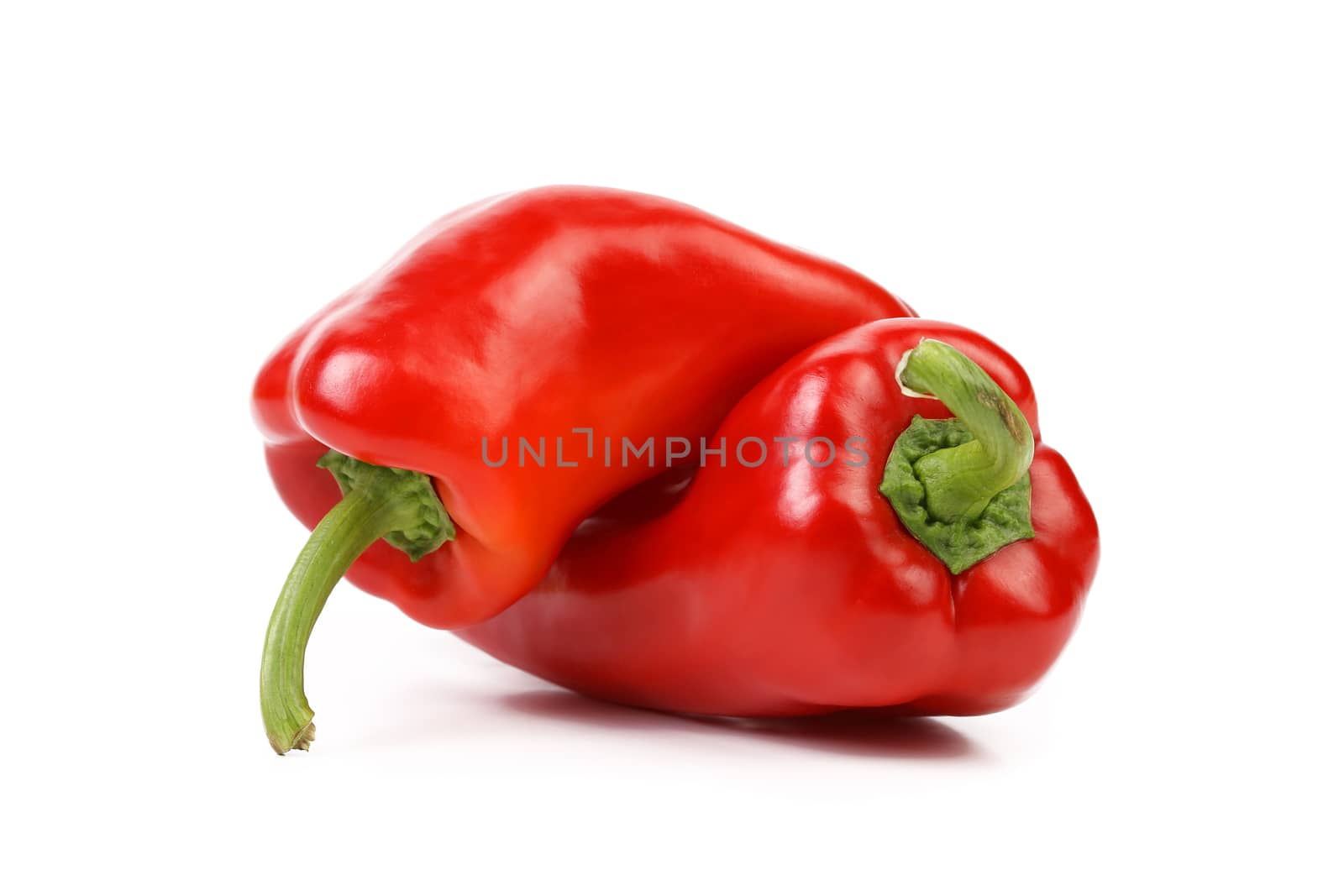 Two red sweet pointy pepper(capsicum) isolated on a white background.