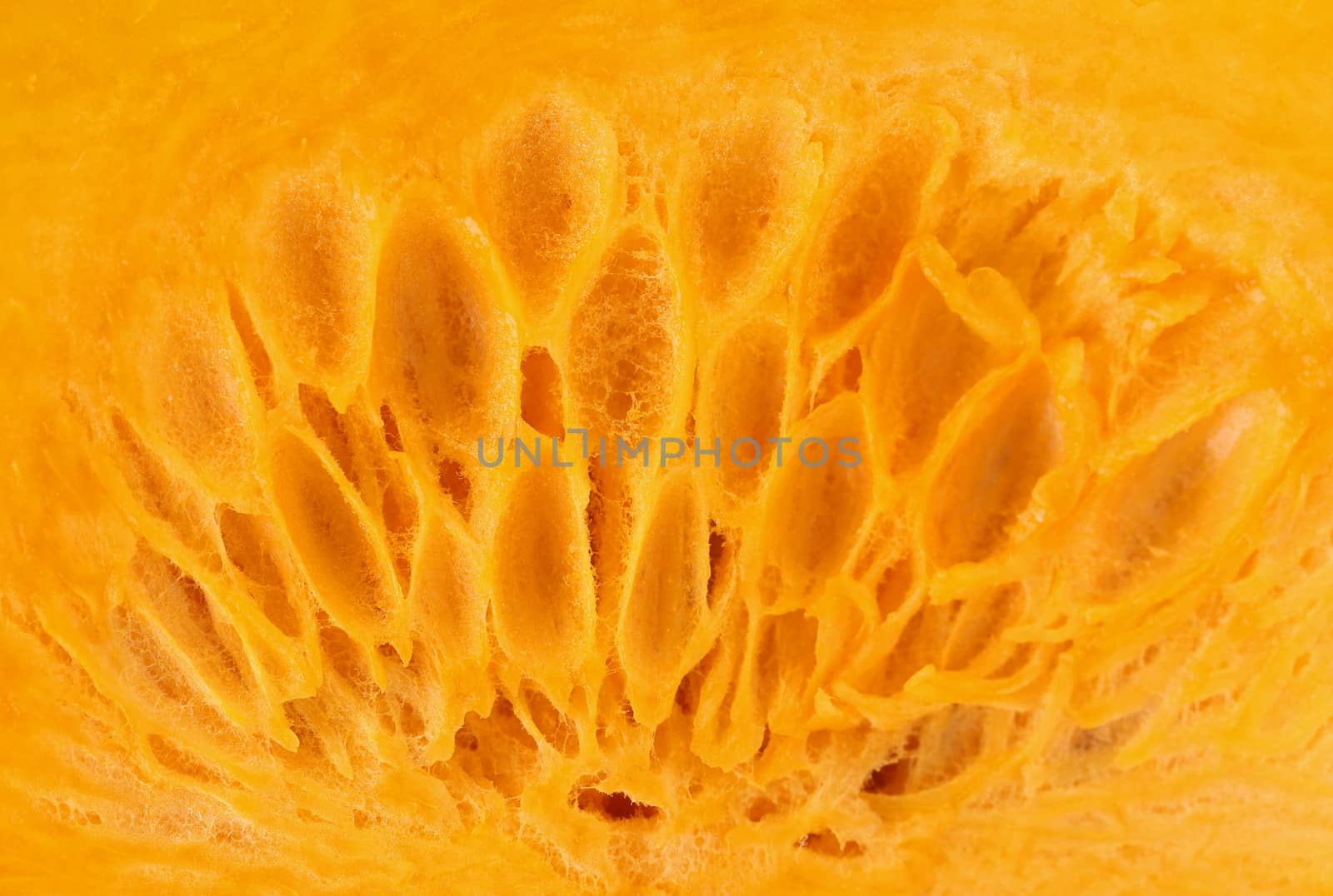 Close up of texture pumpkin. Whole background.