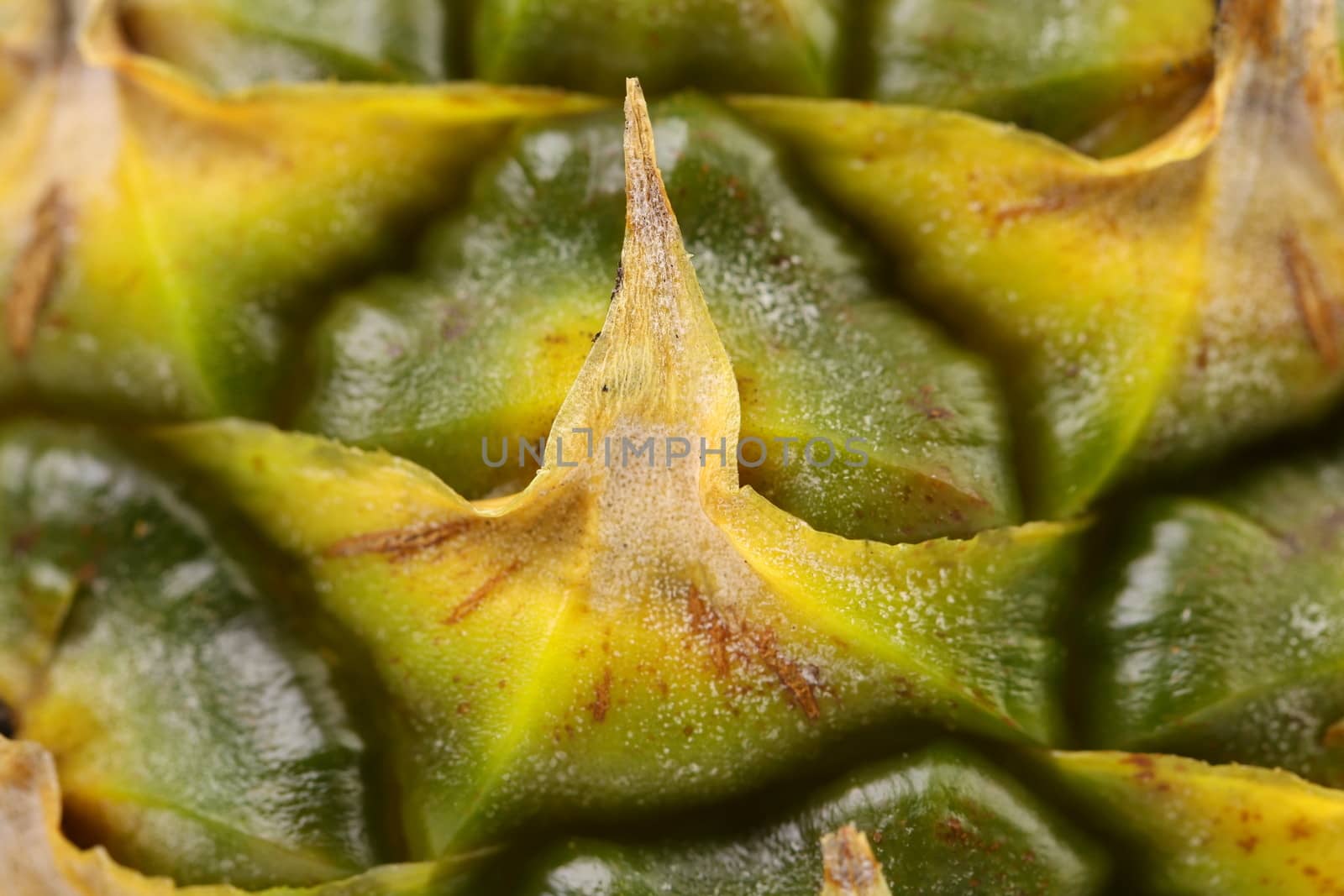 Close up texture of fresh ripe pineapple background