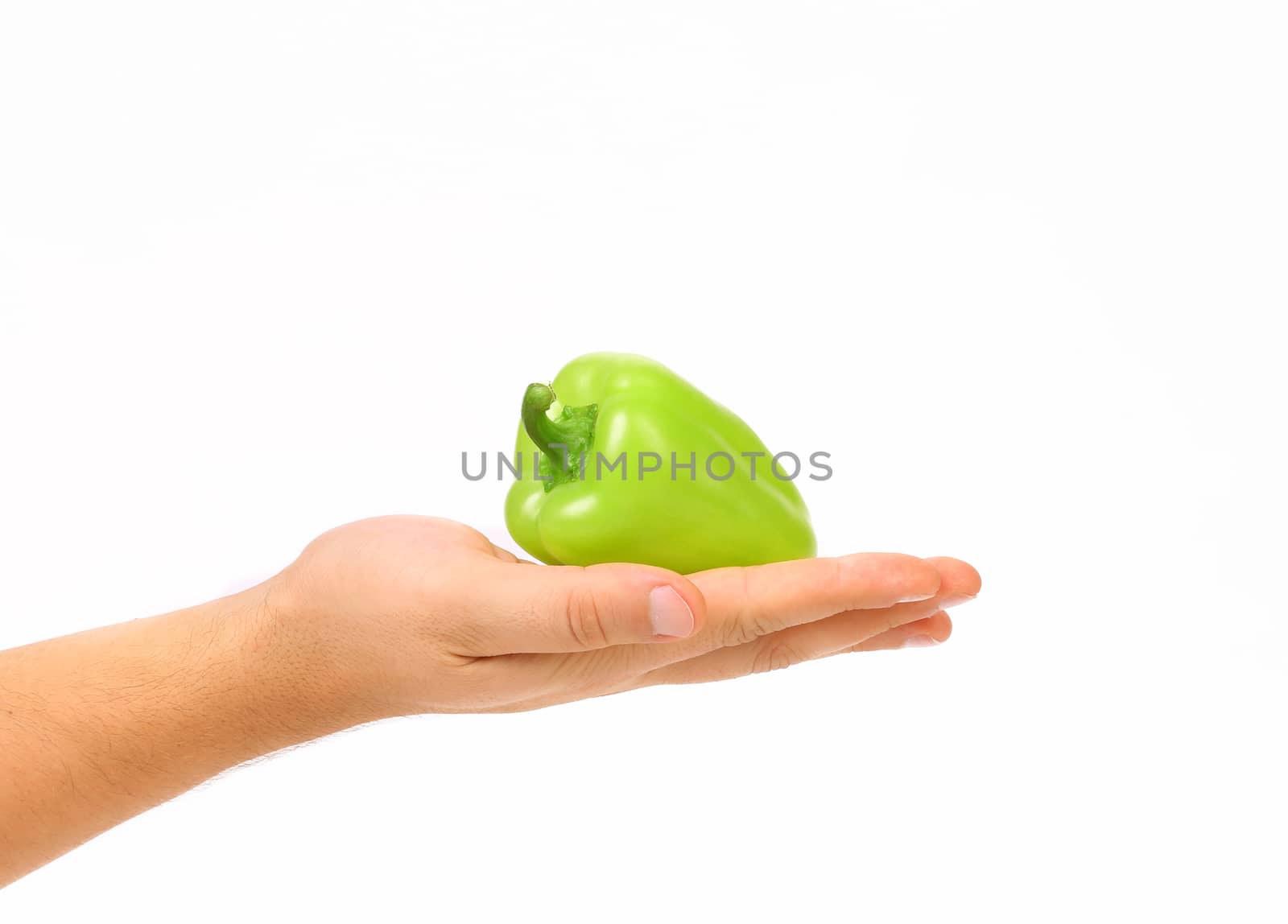 Hand holds green pepper. Isolated on a white background.