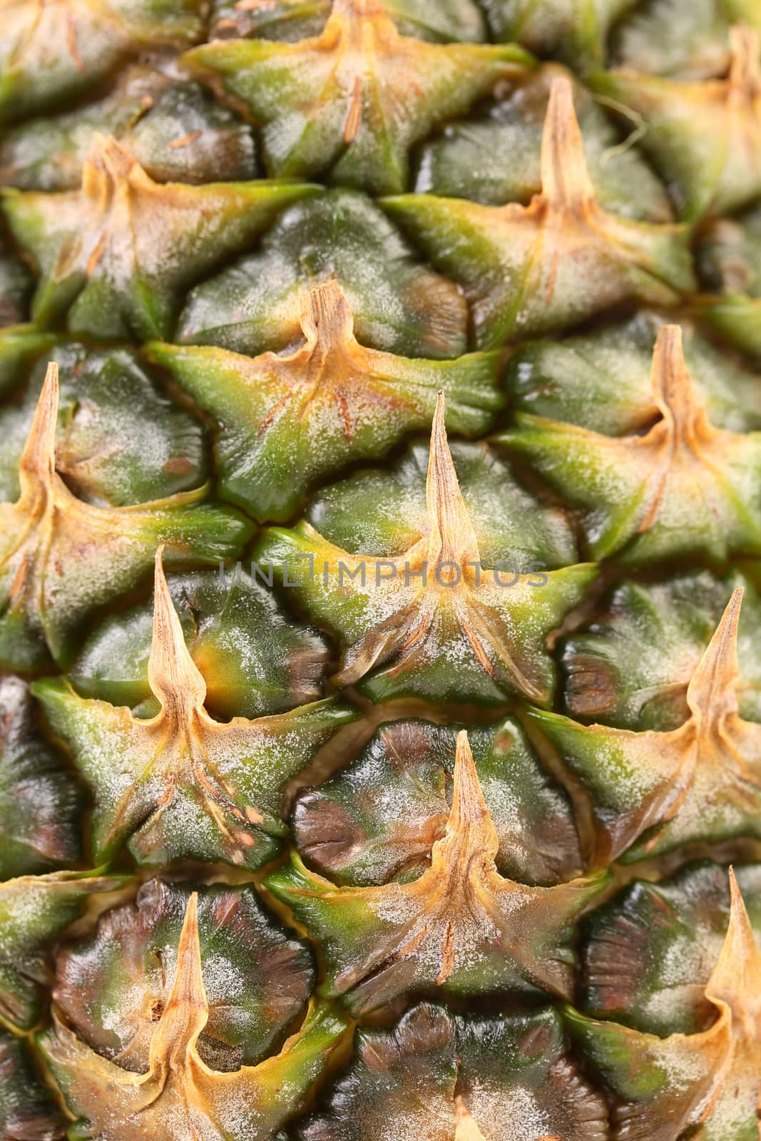 Background of pineapple skin. Macro. Whole background.