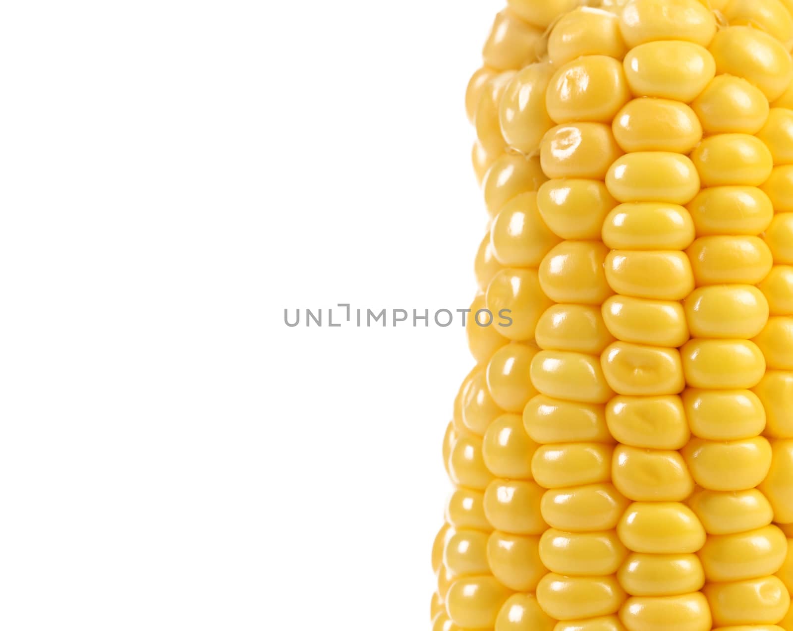 Boiled corn and white background 50/50. Frame.