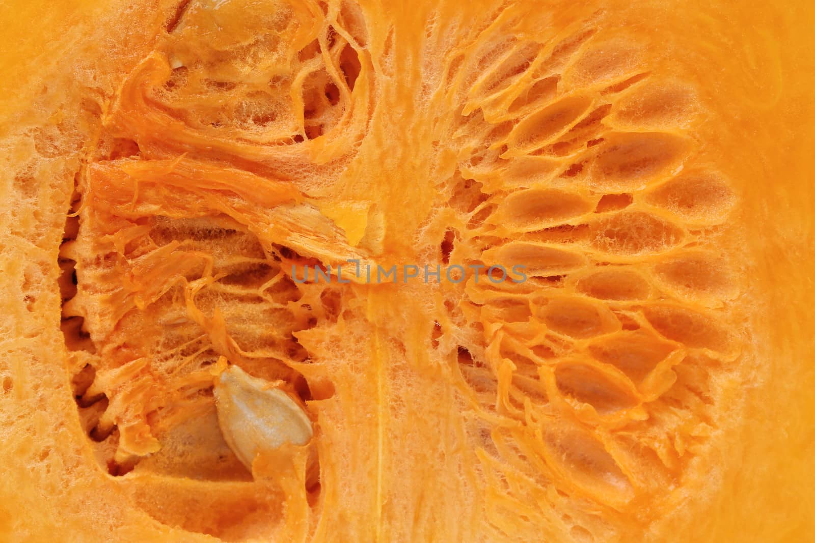Background of pumpkin slice. Macro. Whole background.