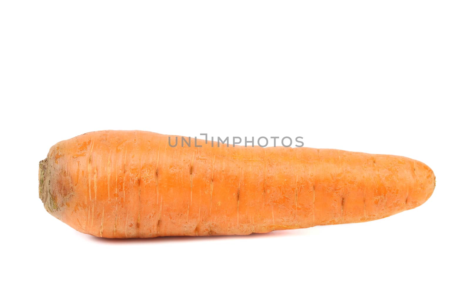 Fresh carrots isolated on a white background