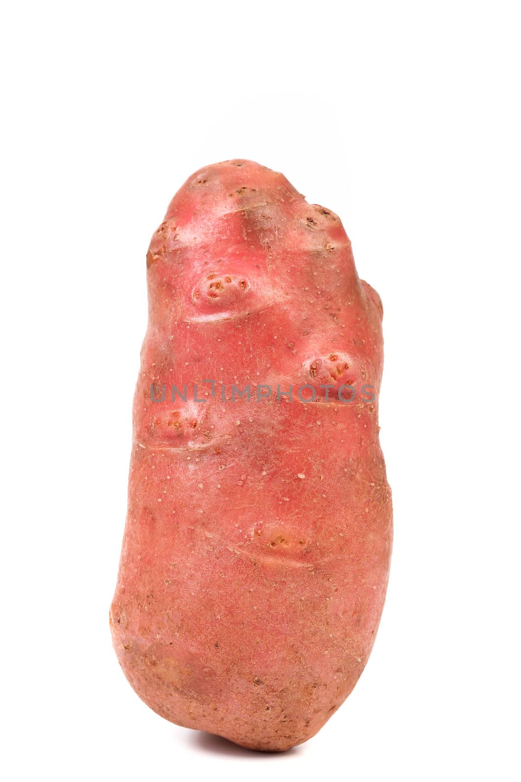 Red sweet potato on a white background