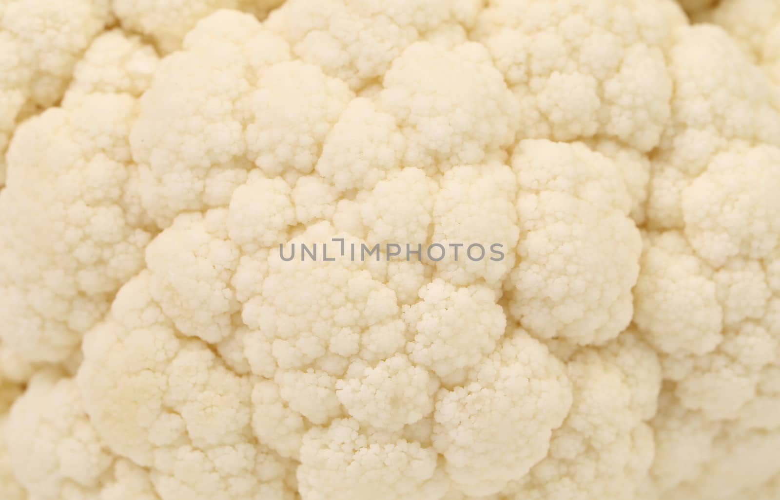 Background of fresh cauliflower. Macro. Whole background.
