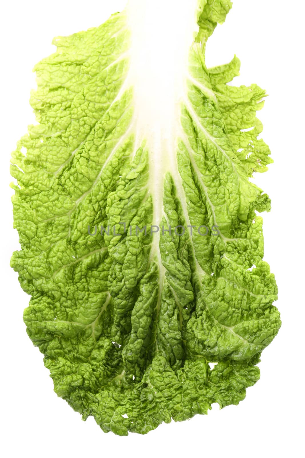 Leaf of Tasty Chinese cabbage isolated on a white background