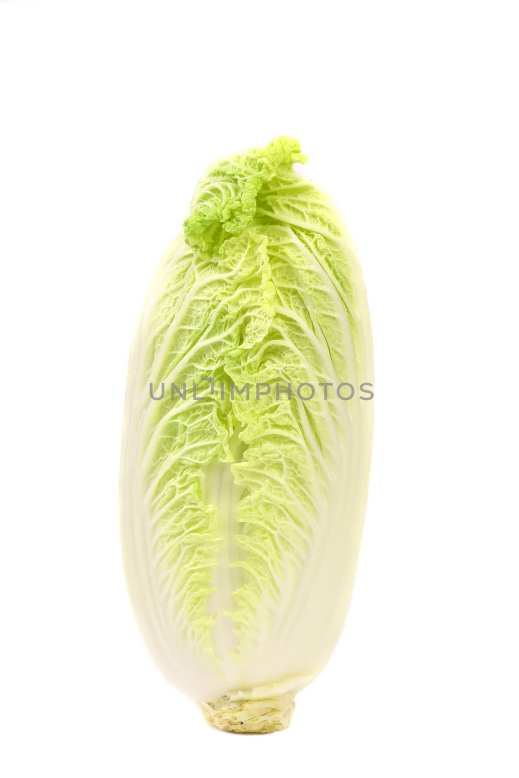 Tasty Chinese cabbage isolated on a white background