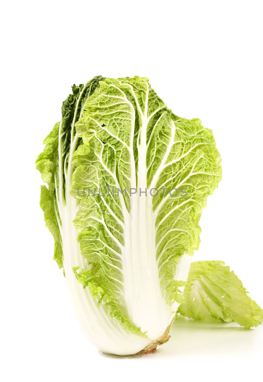 Chinese cabbage isolated on a white background