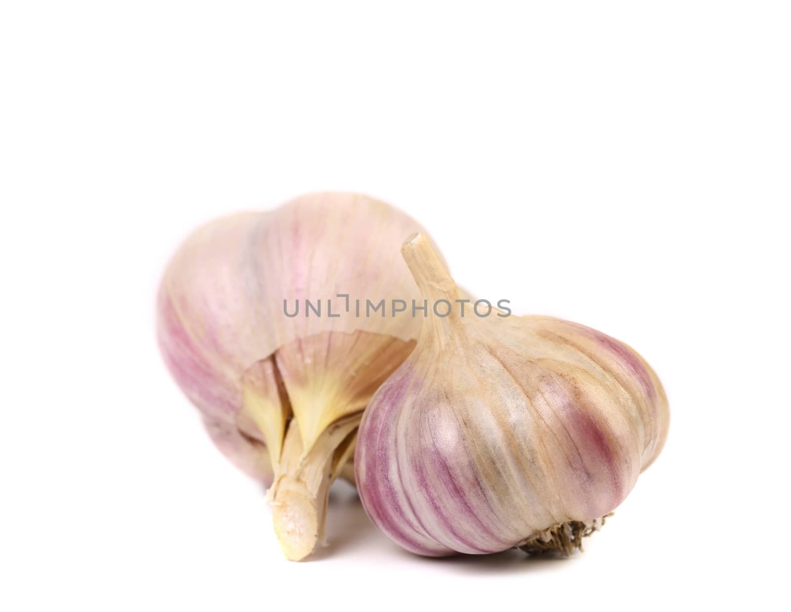 Garlic isolated on a white background. Close up.