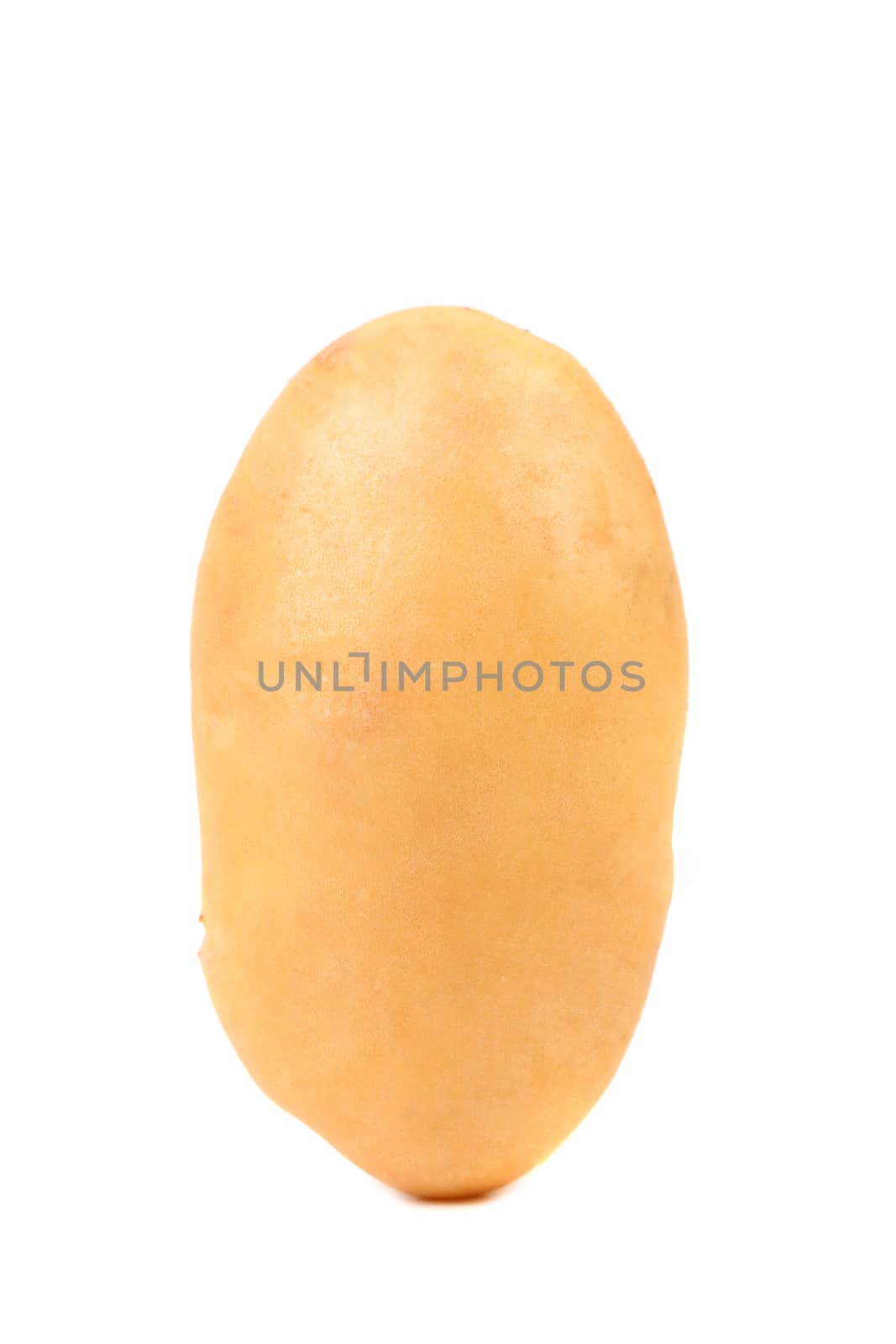 potato isolated on white background close up