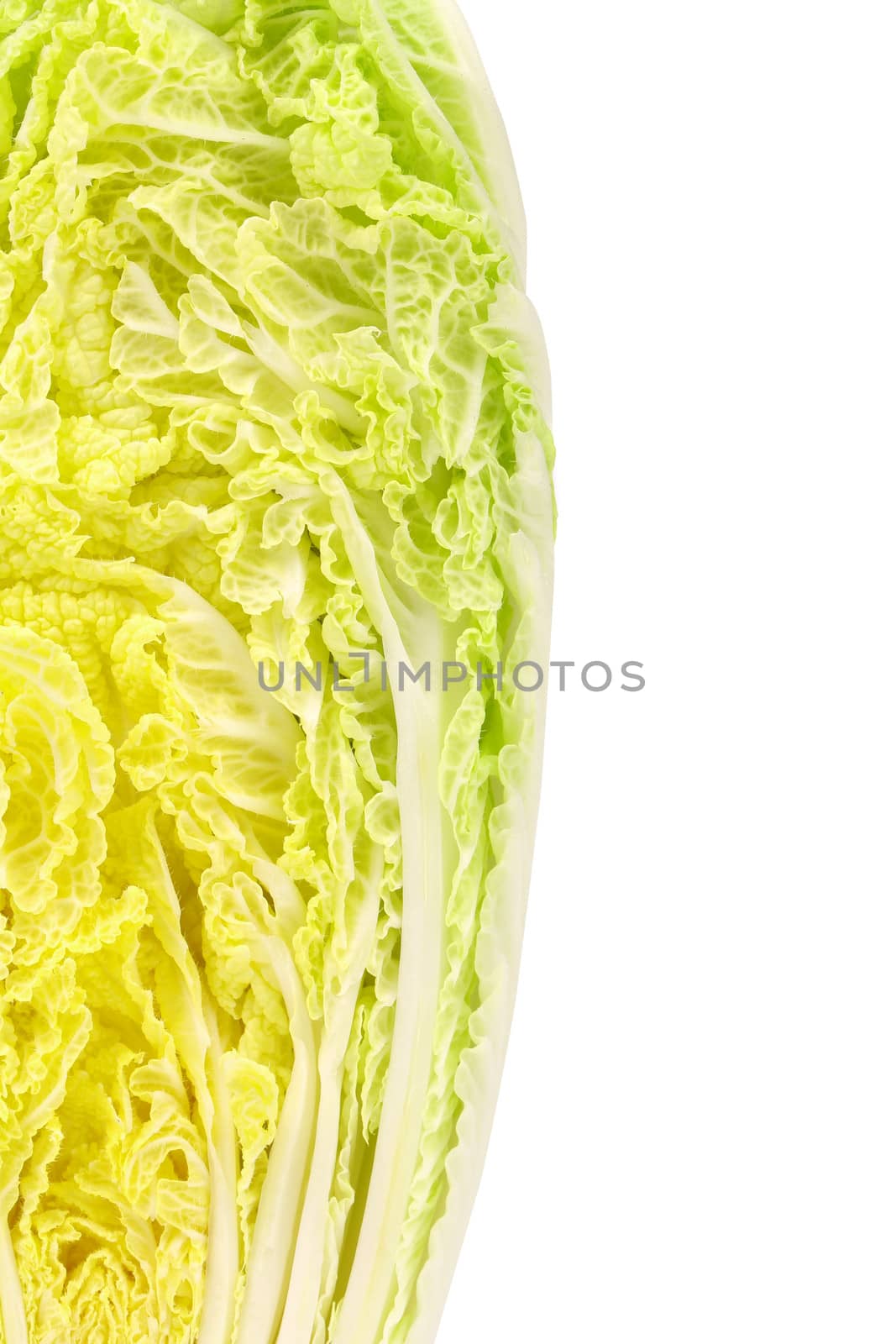 Chinese cabbage and white background 50/50. Frame.