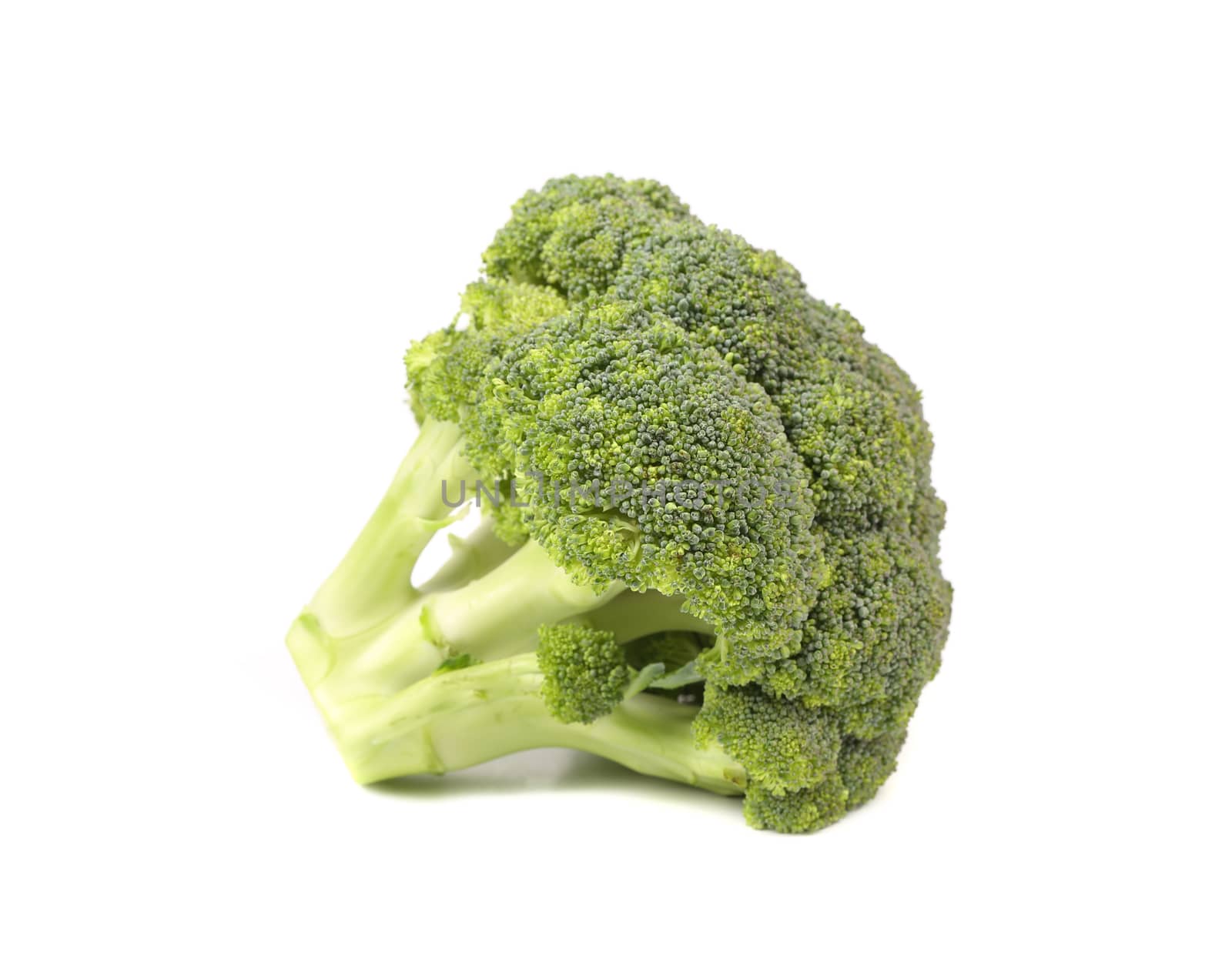 Fresh healthy brocoli isolated on a white background.