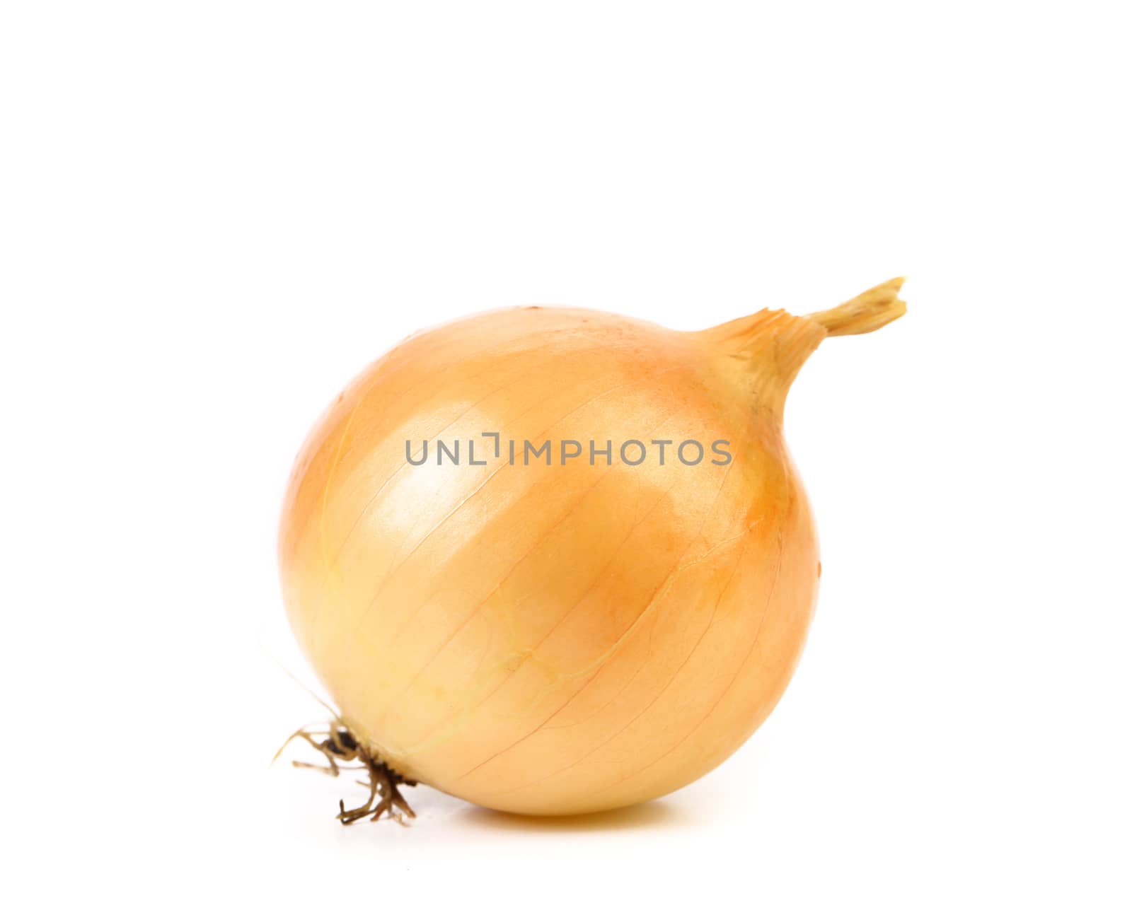Ripe onion isolated on a white background