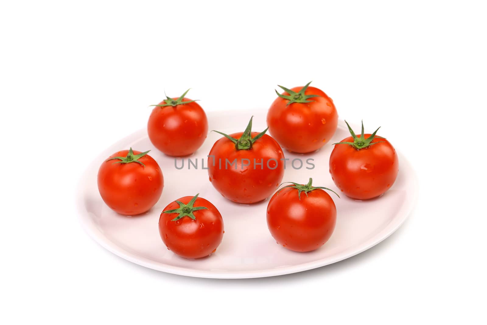 Fresh ripe cherry tomatoes on a white plant. Close up.