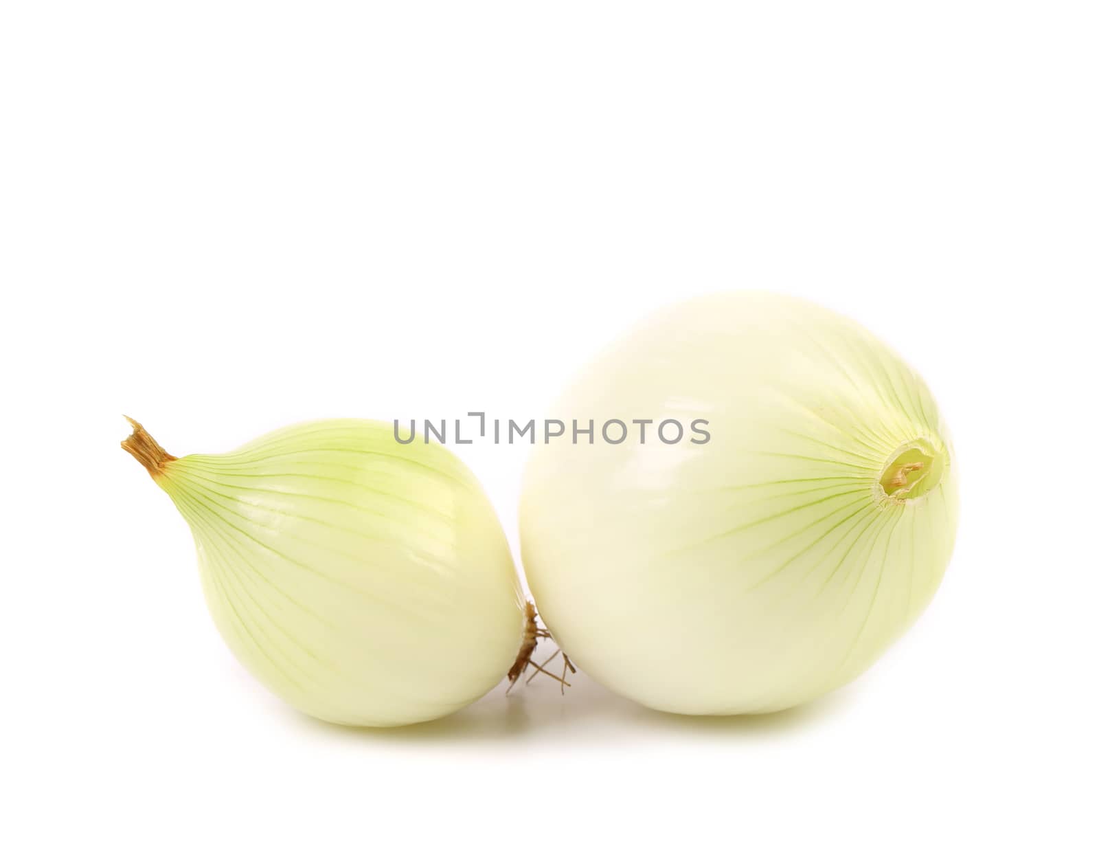 Peeled white onions isolated on a white background