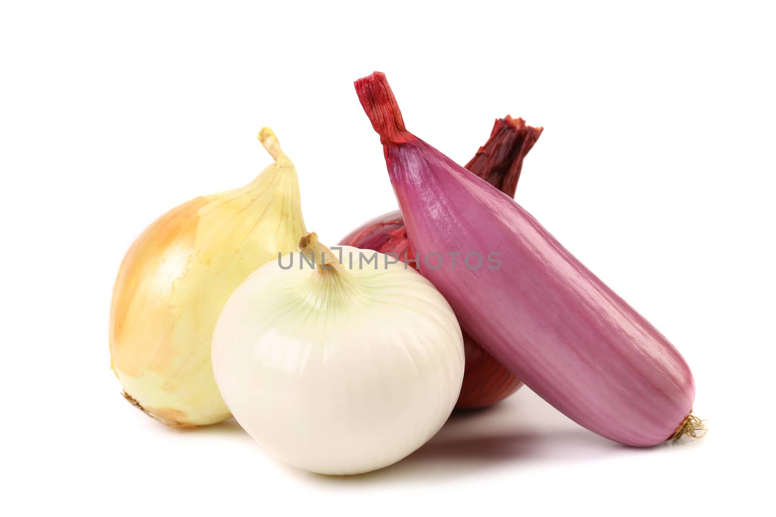 Different onions are located on a white background.