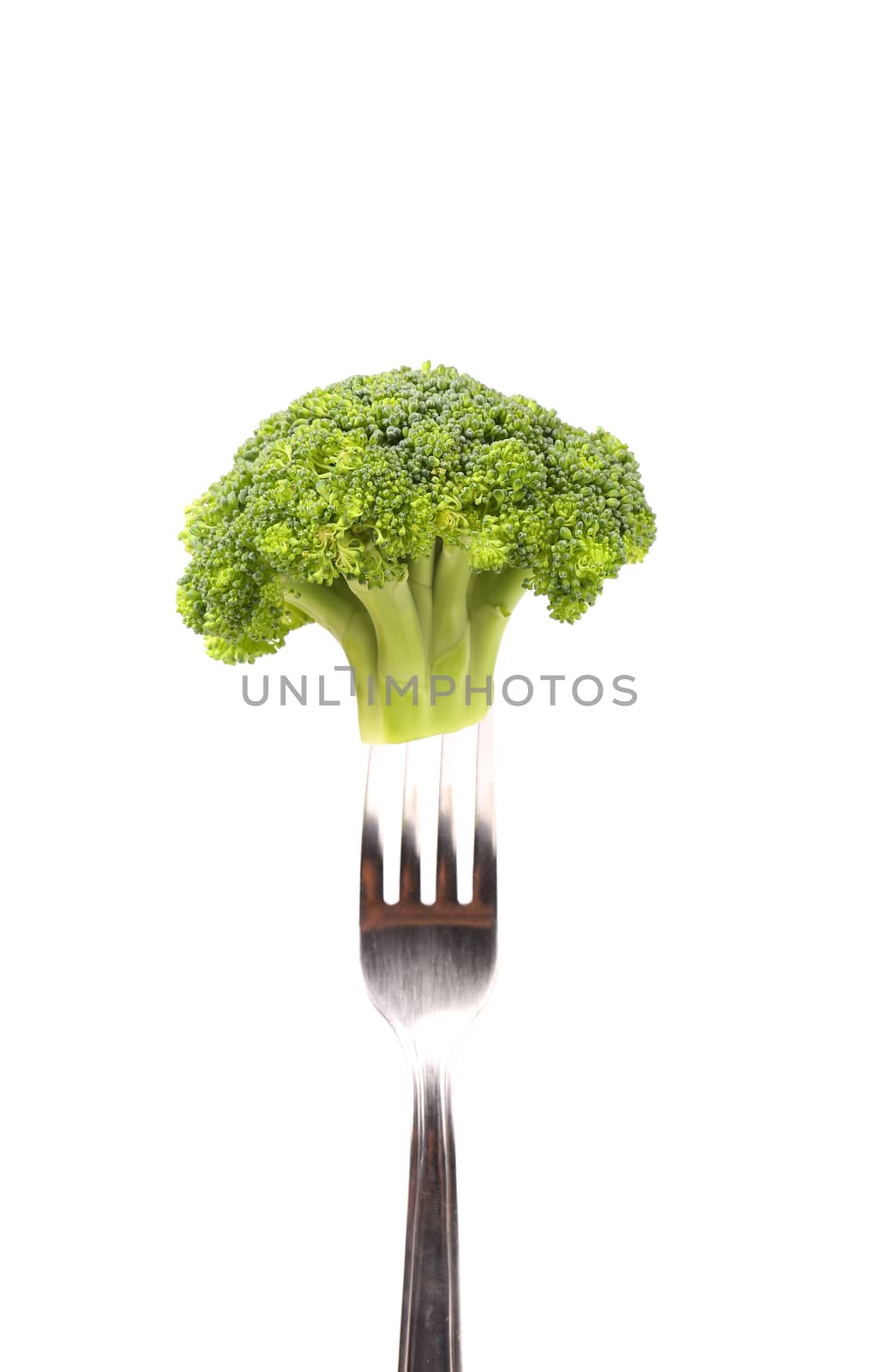 Broccoli impaled on a fork. White background.