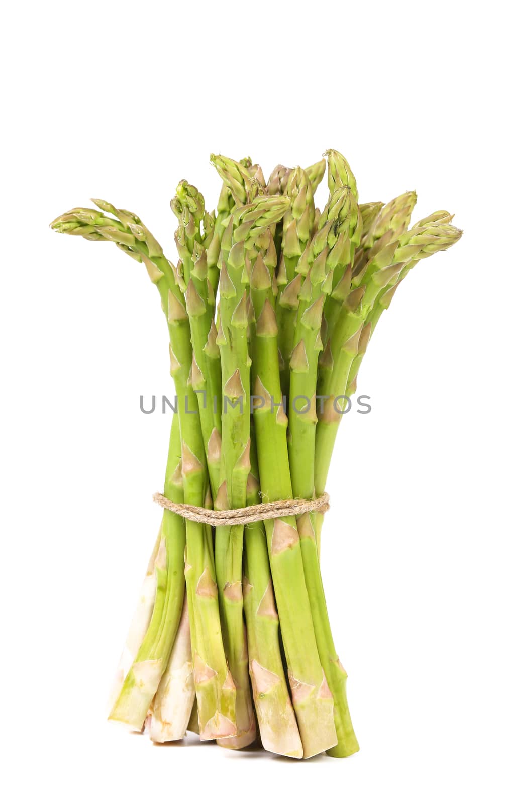 Bunch of fresh asparagus on a white background