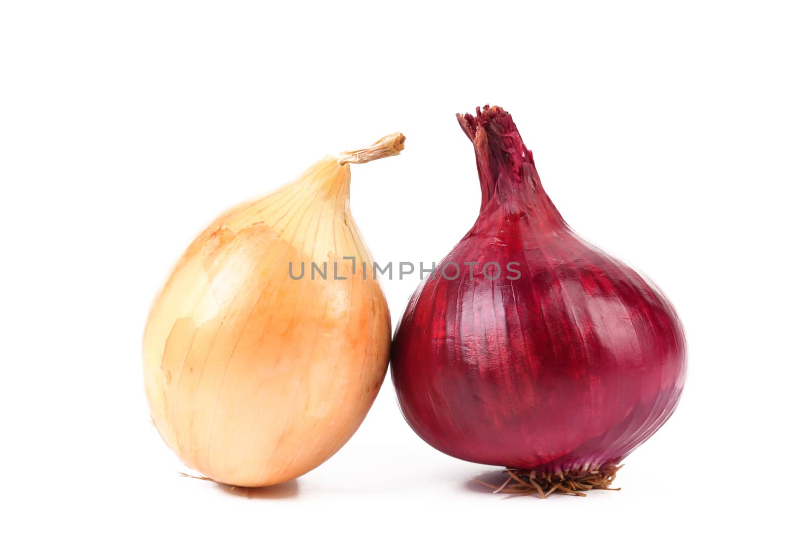 Different onions are located on a white background.