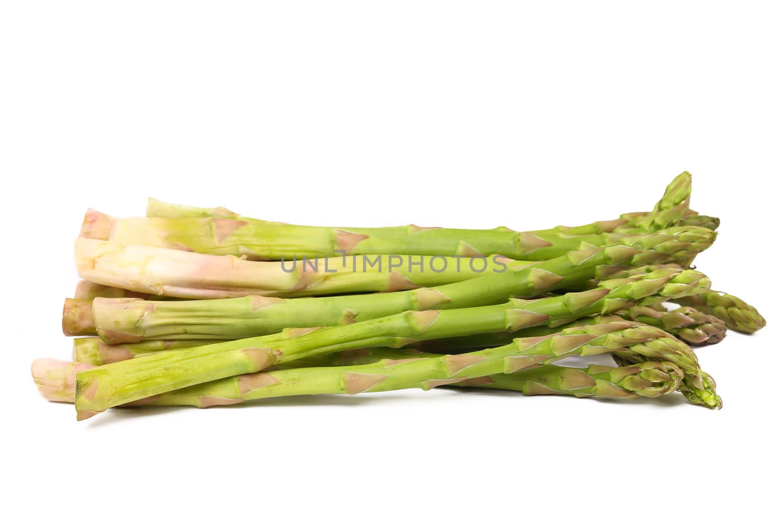 Bunch of asparagus on the white background