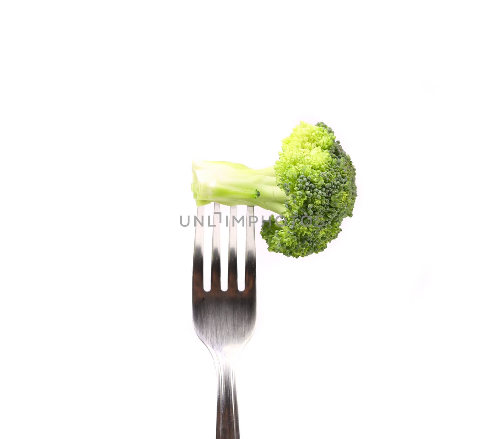 Broccoli impaled on a fork. White background.