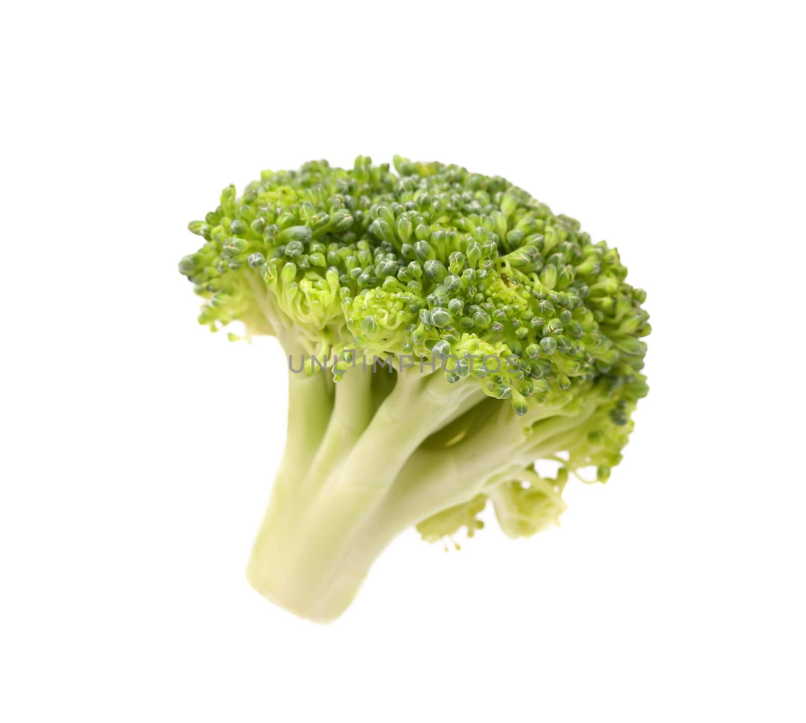 Fresh broccoli isolated on a white background