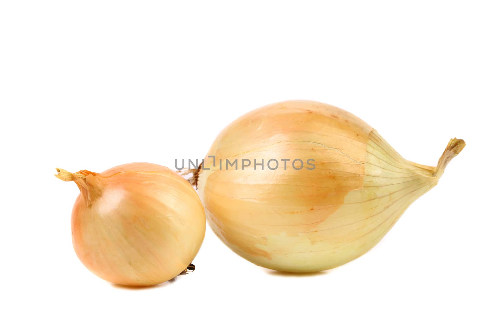Goldish onions isolated on a white background..