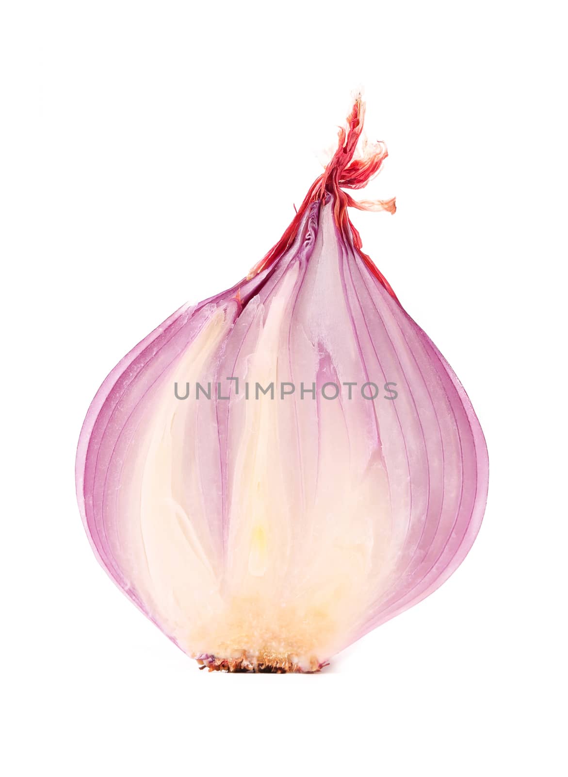 Red sliced onion isolated on a white background
