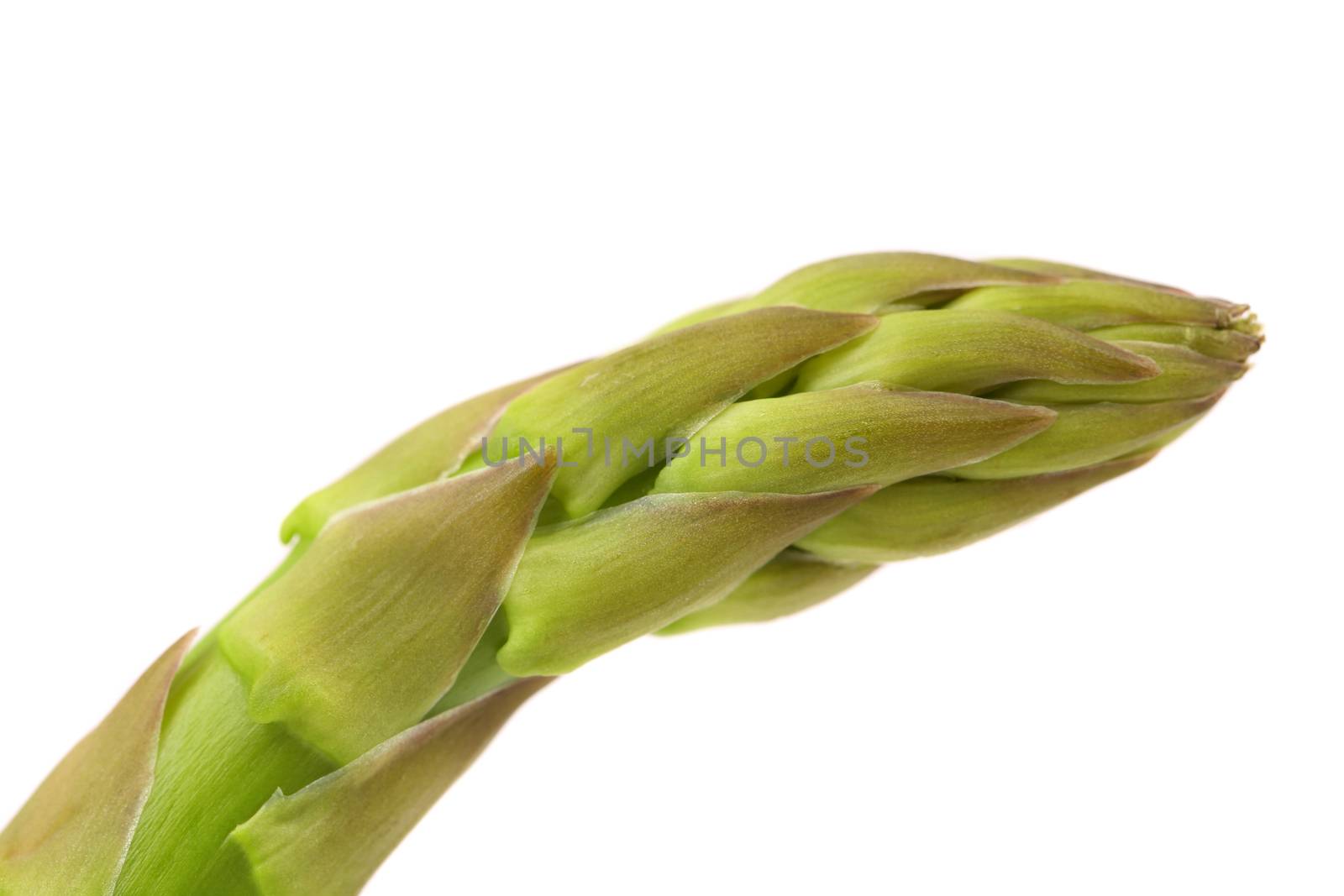 fresh asparagus spear isolated on a white background.