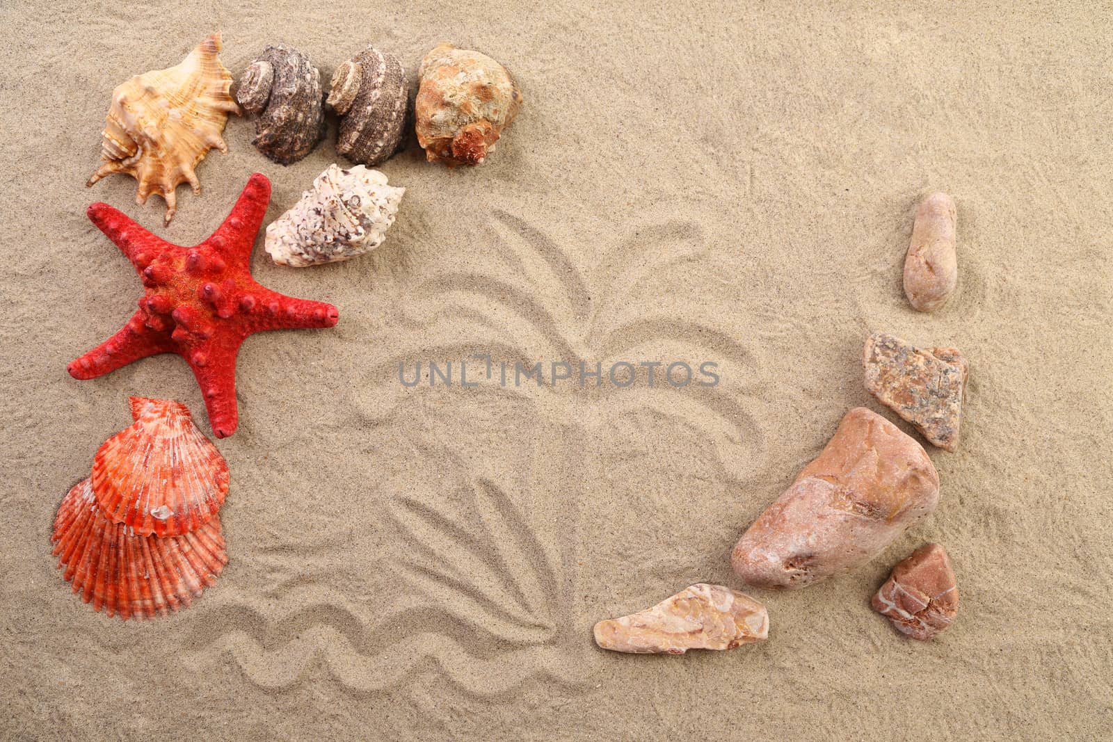 Composition of sand, shells, stones and starfish. Close up.