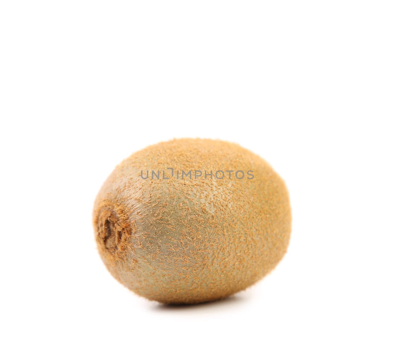 Kiwi fruit isolated on a white background