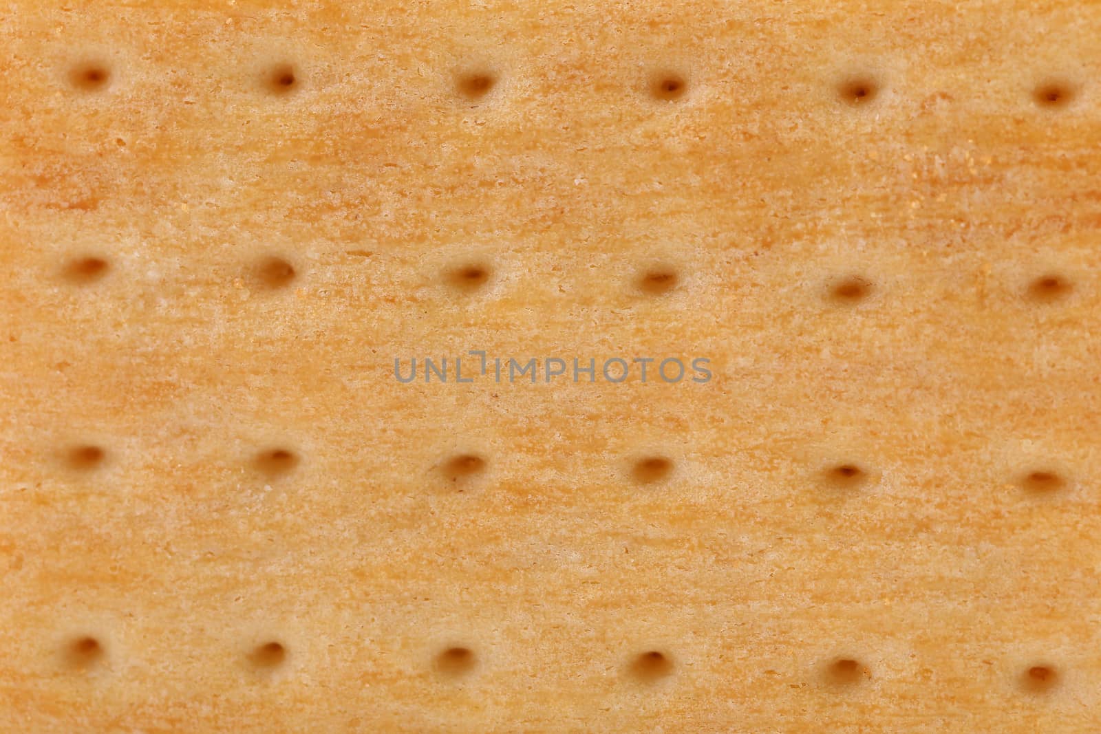 Background of biscuit. Pin hole. Macro. Whole background.