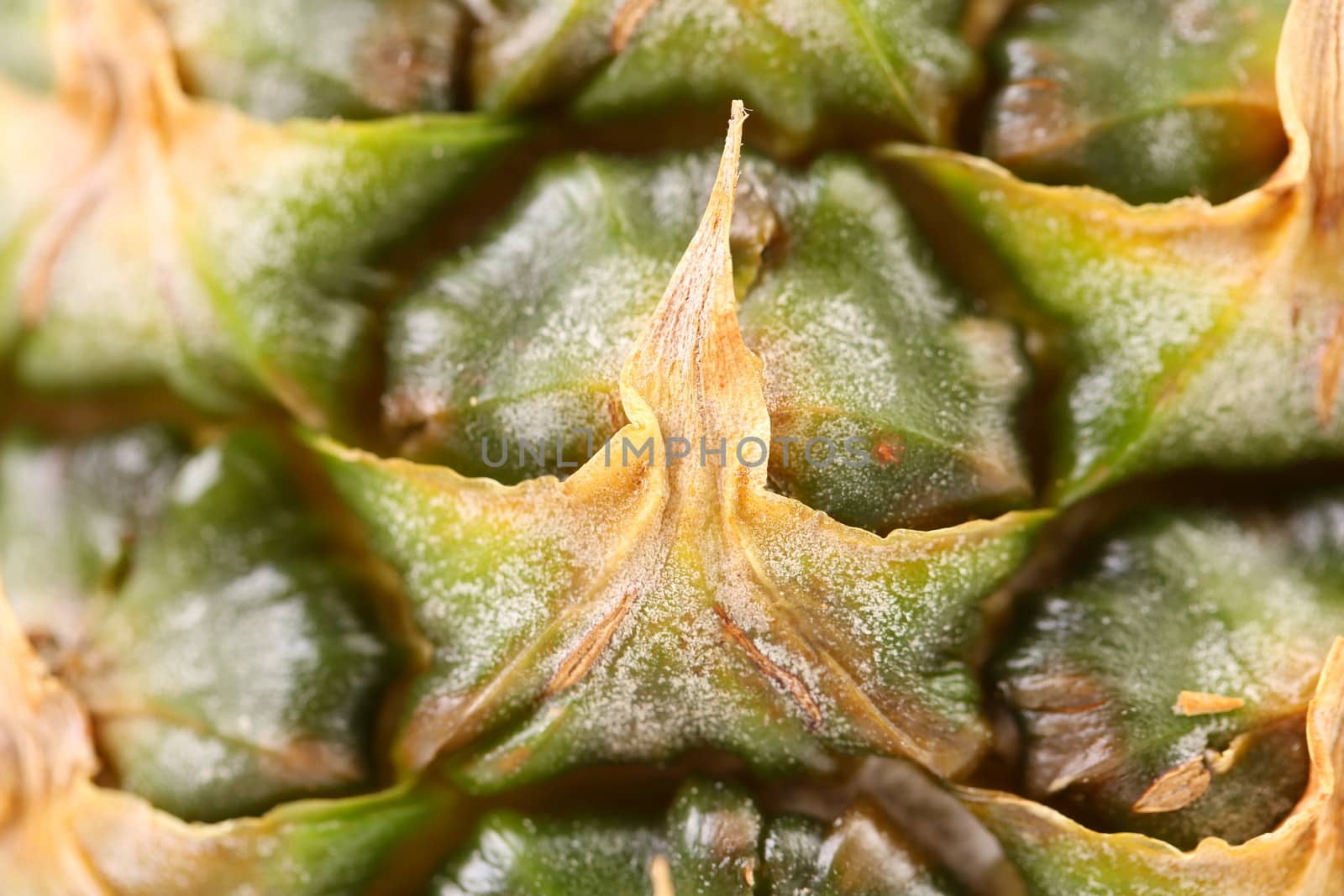 Background of a pineapple skin. Macro. Whole background.