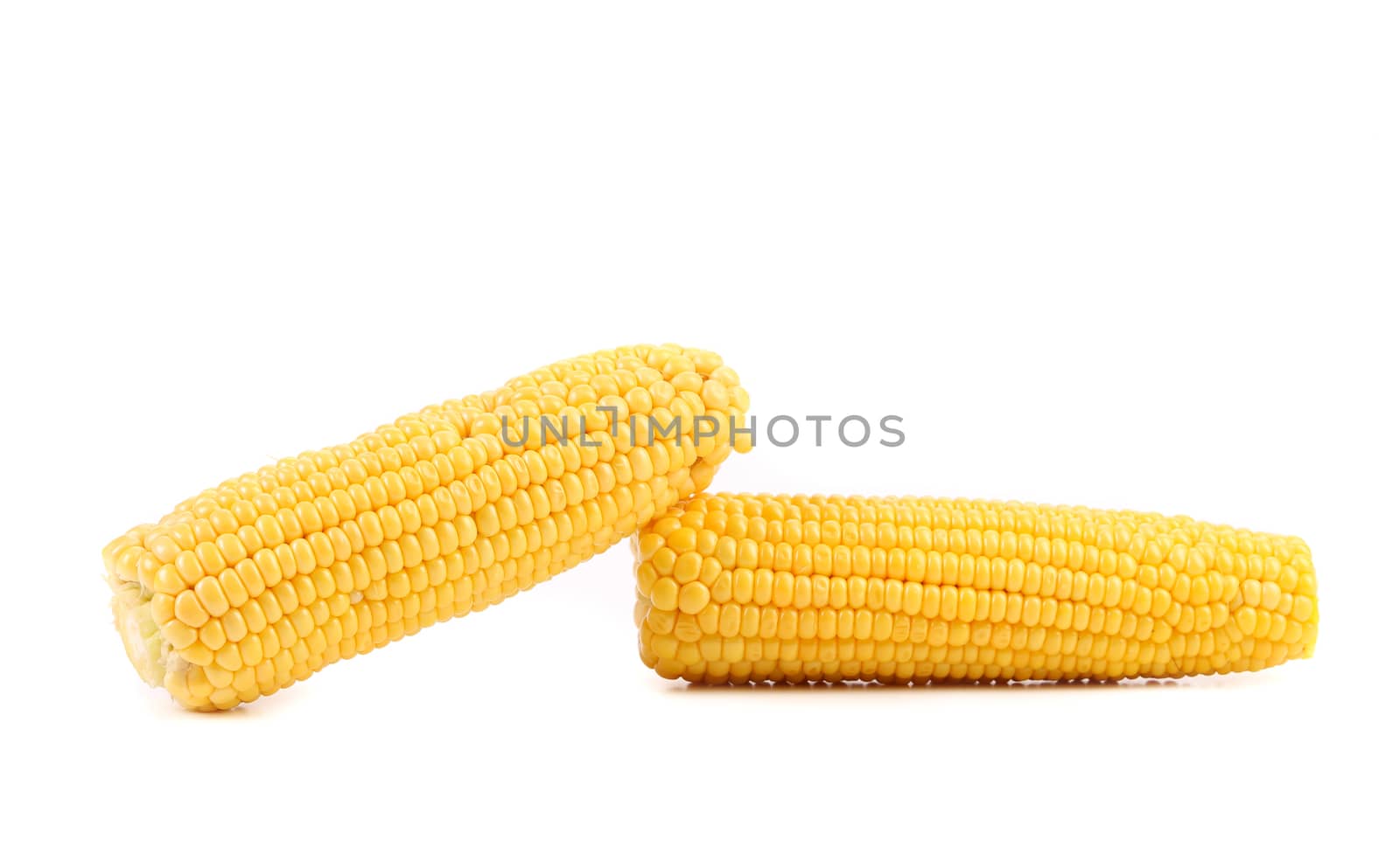 Two corncobs on a white background. Isolated.