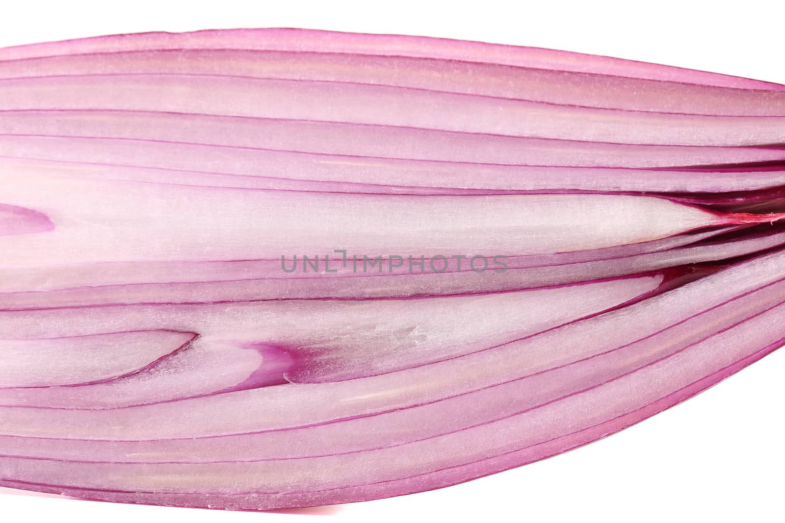 Red onion, sliced in half by indigolotos