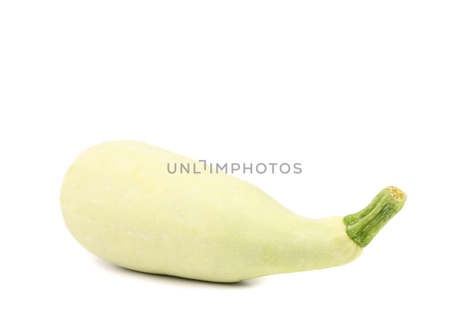 Fresh vegetable marrow isolated on a white background.
