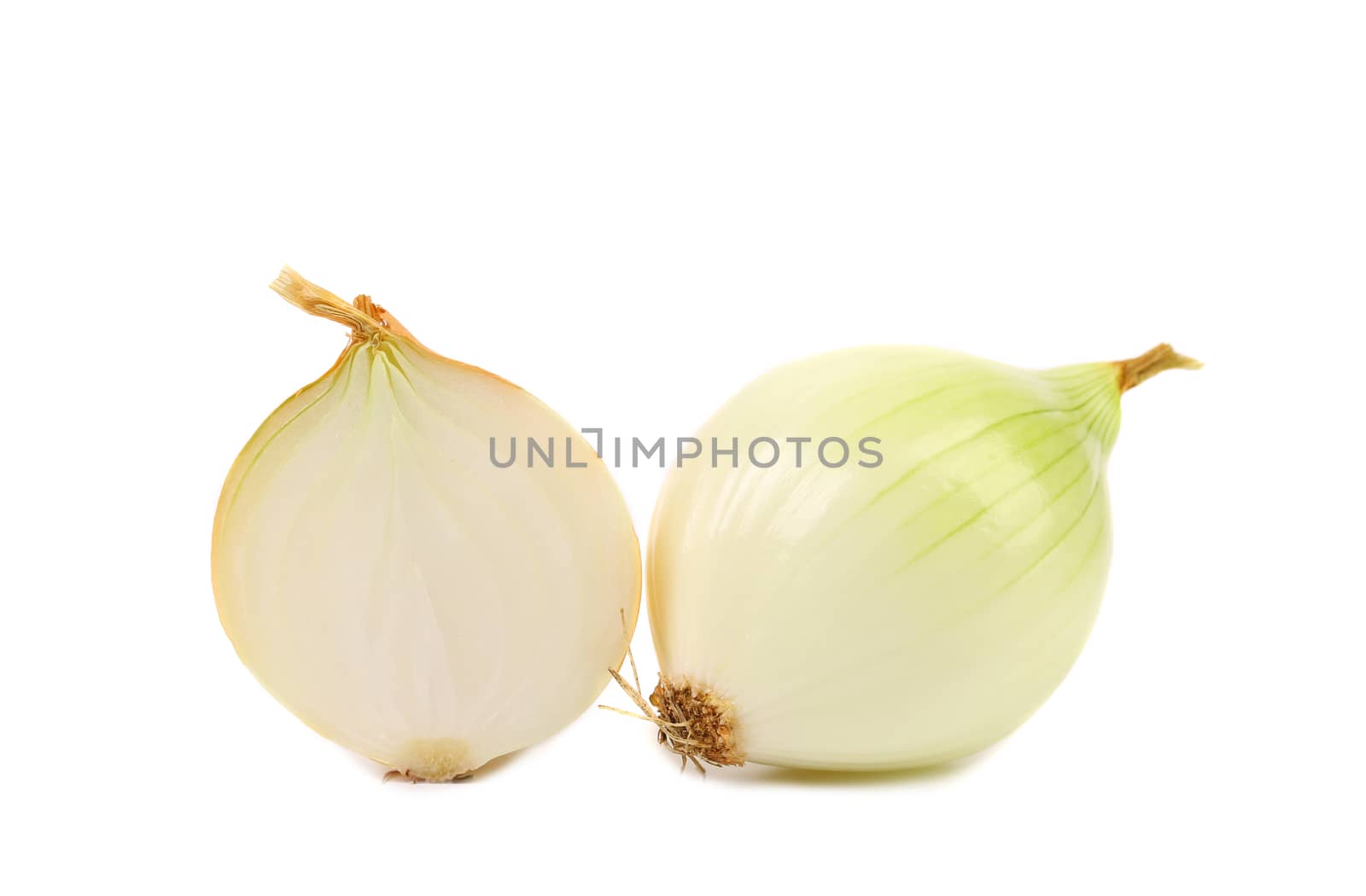 Onion and slice on a white background