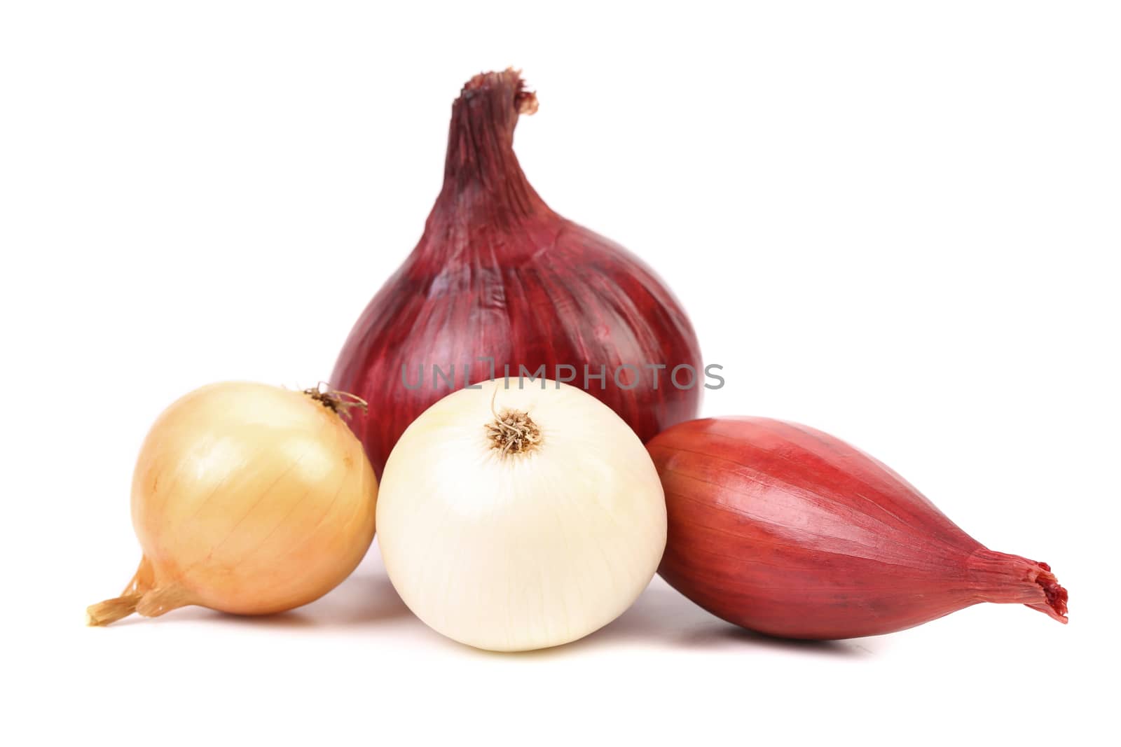 Fresh different kind onions isolated on a white background