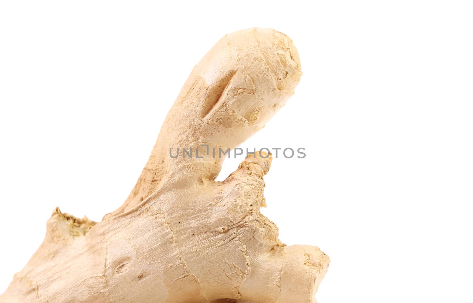 Fresh ginger on a white background. Close up.