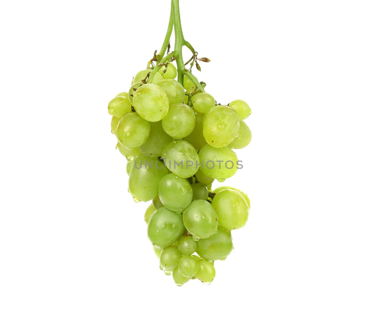bunch of ripe and juicy green grapes close-up on a white background