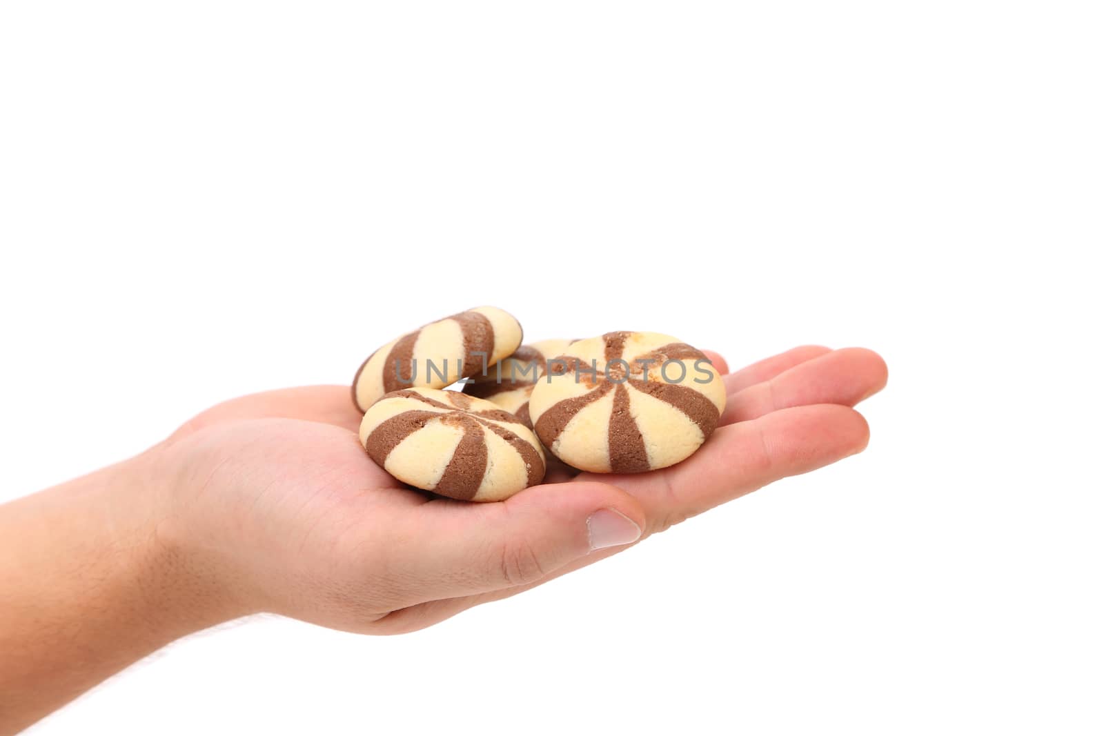 Hand holds Biscuits of a chocolate cloves. White background.