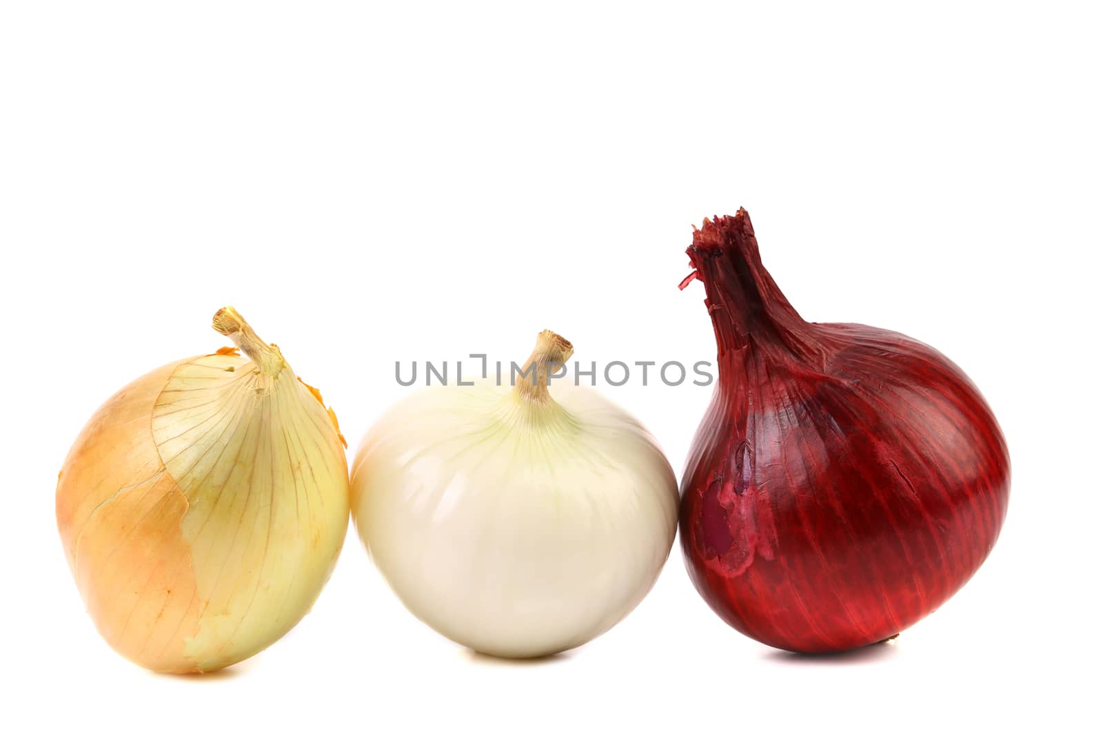 Three different kinds of onions. White background.