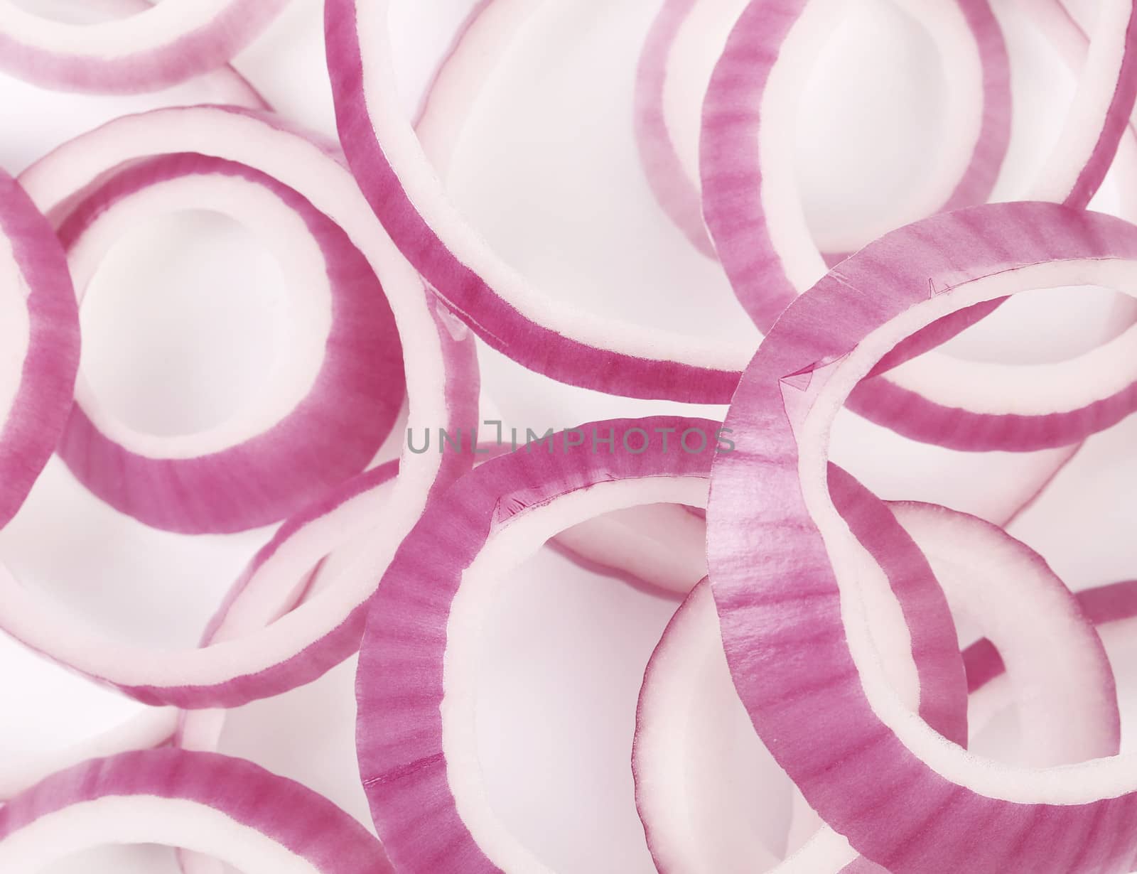 Rings of violet onion. Close up. White background.