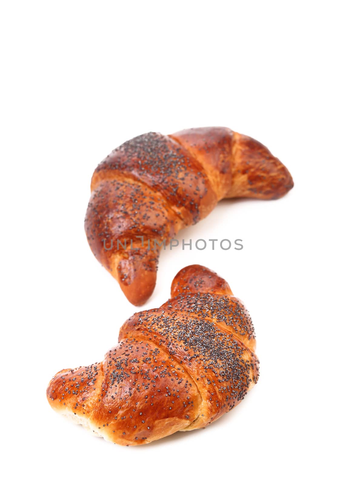 Appetizing croissants with poppy. Close up. White background.